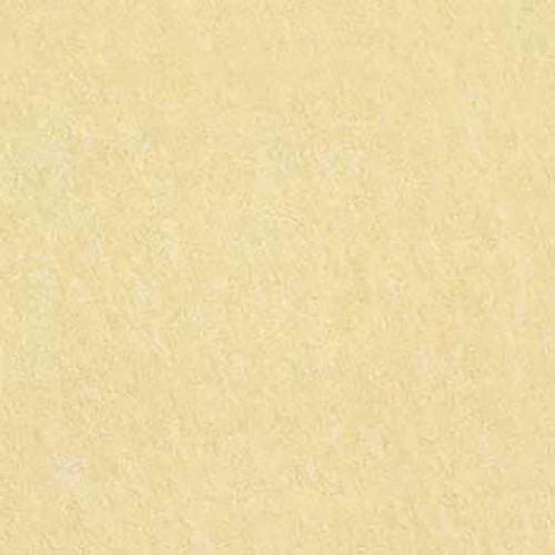 KAJARIA ETERNITY LAPPATO BEIGE  600X600mm